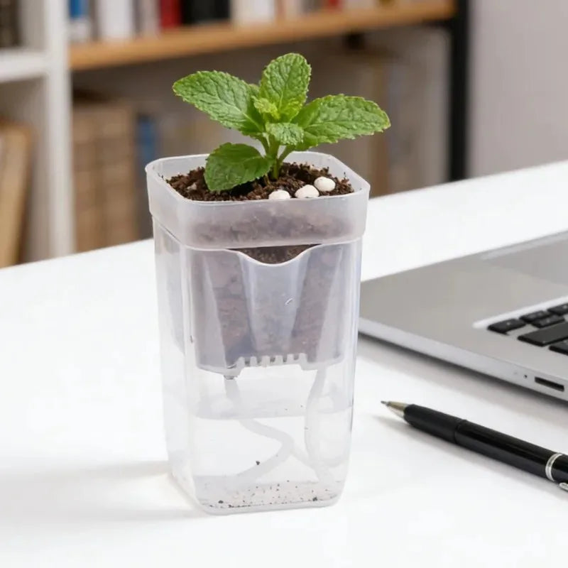 5/1PCS Dry Wet Separation Seedling Planting Flowerpot Self Watering Plant Pots Mini Translucent Plastic Planters Garden Supplies Quake