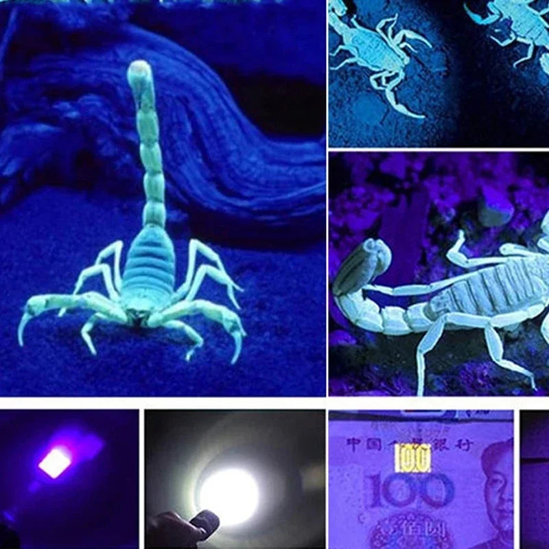 LED Flashlight Ultraviolet White Lamp Double Lamp Retractable Zoom Flashlight Fluorescence Detection Currency Check Light VCK Quake