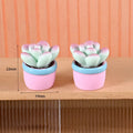 20Pcs Resin Cabochon Plants Potted Cactus Miniature Figurines DIY Dollhouse Desk Home Decoration Fairy Garden Decor Craft Quake No.3