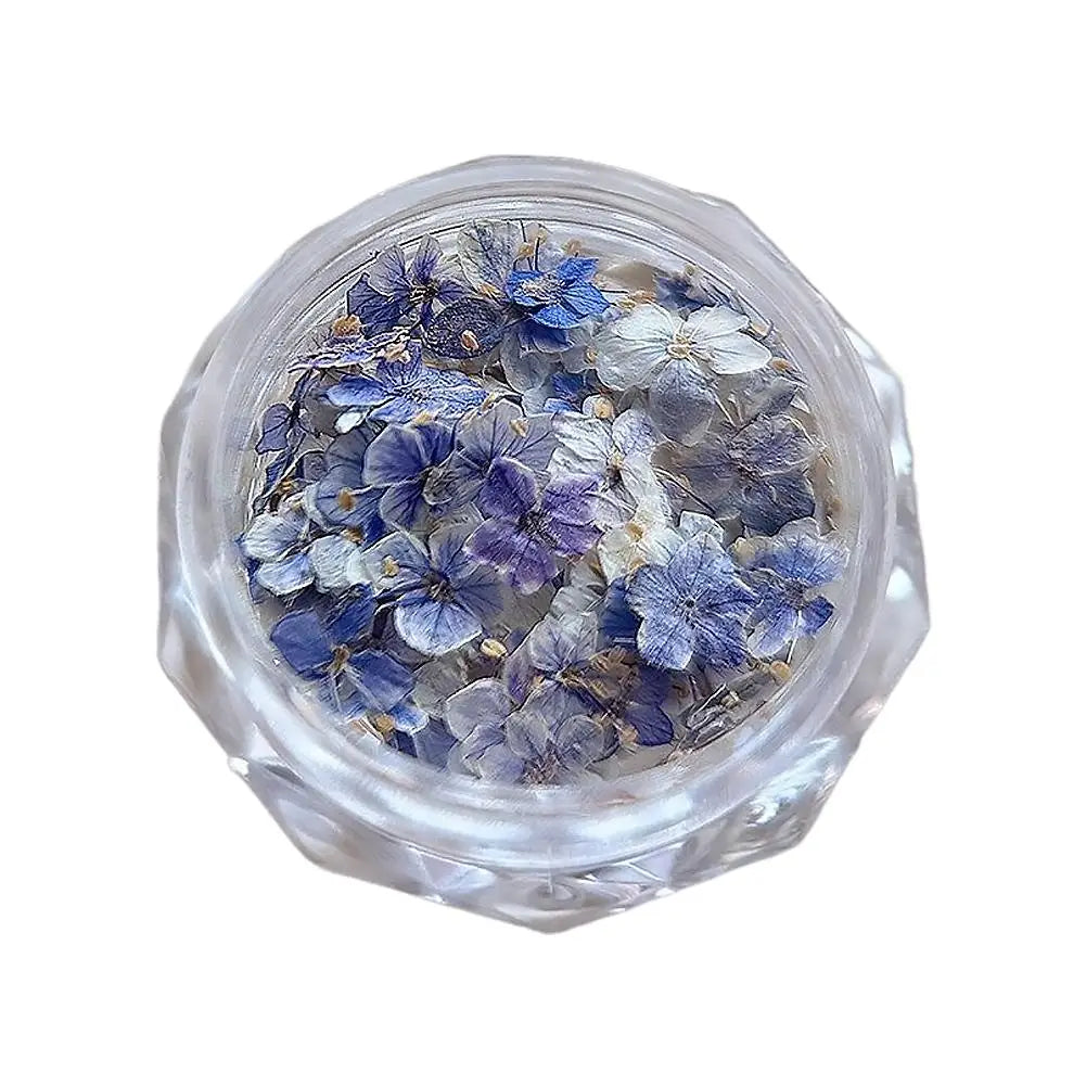 1 Box 3D Dried Flowers Nail Art Stickers Decals Mix Tiny Floral Petals Colorful Flower For Nails Crafts DIY Manicure Decorations Quake D CN