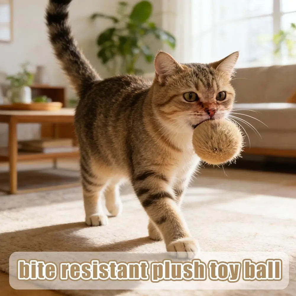Premium Cat Enrichment Set: 6 Durable Rabbit Fur Balls With Dual Herbal Infusion For Sensory Stimulation And Solo Hunting Fun Quake