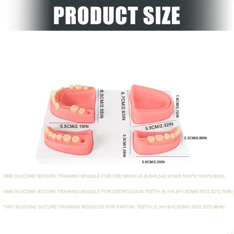 Dental Suturing Practice Model Set with 4 Training Modules for Suture Techniques, Classroom Instruction and Individual K1KF Quake
