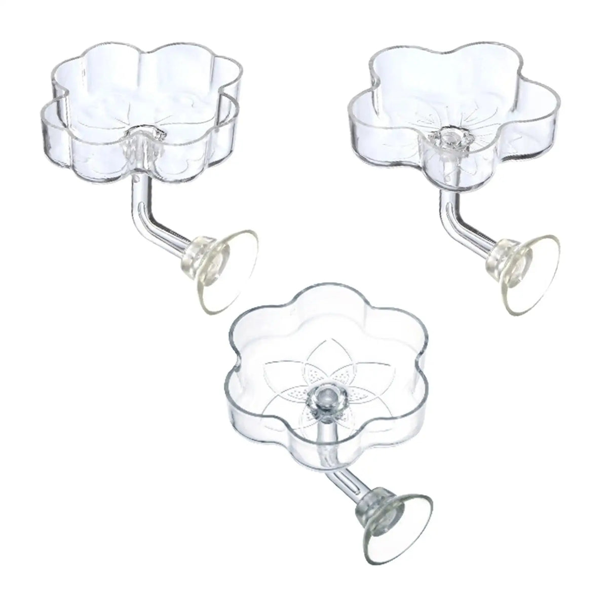 Transparent Acrylic Mini Shrimp Feeder Dish for Aquarium Fish Food Holder with Easy Clean Suction Support Quake