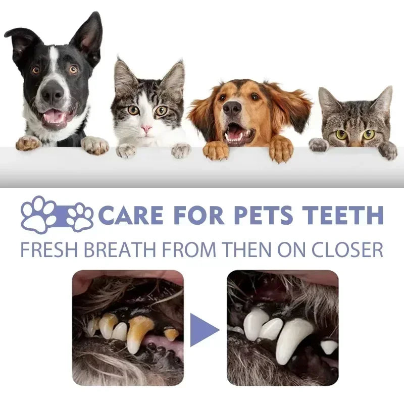 Pet Teeth Cleaning Spray Oral Care Remove Tooth Stains Keep Fresh Breath for Cats and Dogs Whitening Remove bad breath Quake
