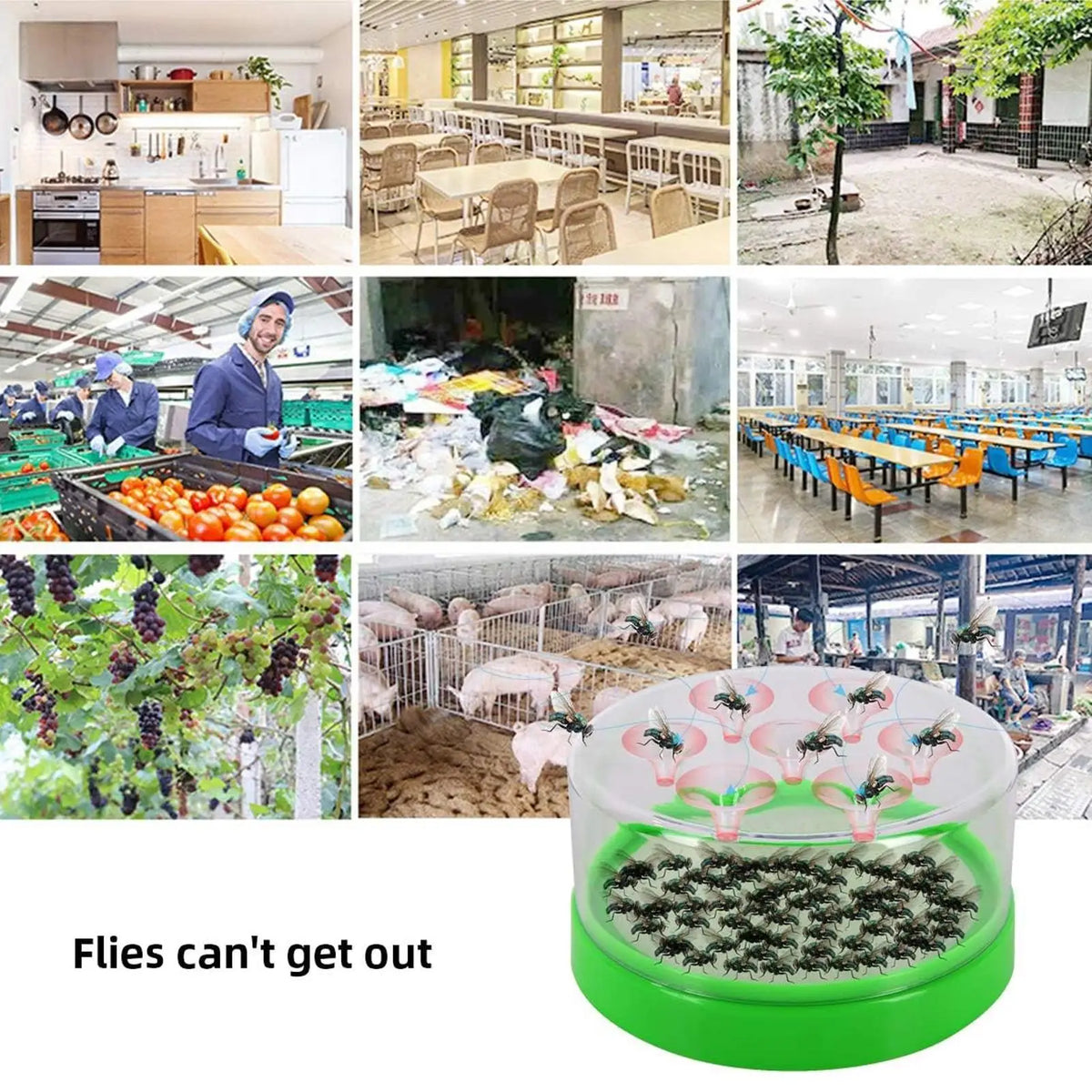 Fly Trap Reusable Non-Electric Garden Fly Catching Device Garage Animal Control for Homeowners Renters Kitchens Homes Offices Quake