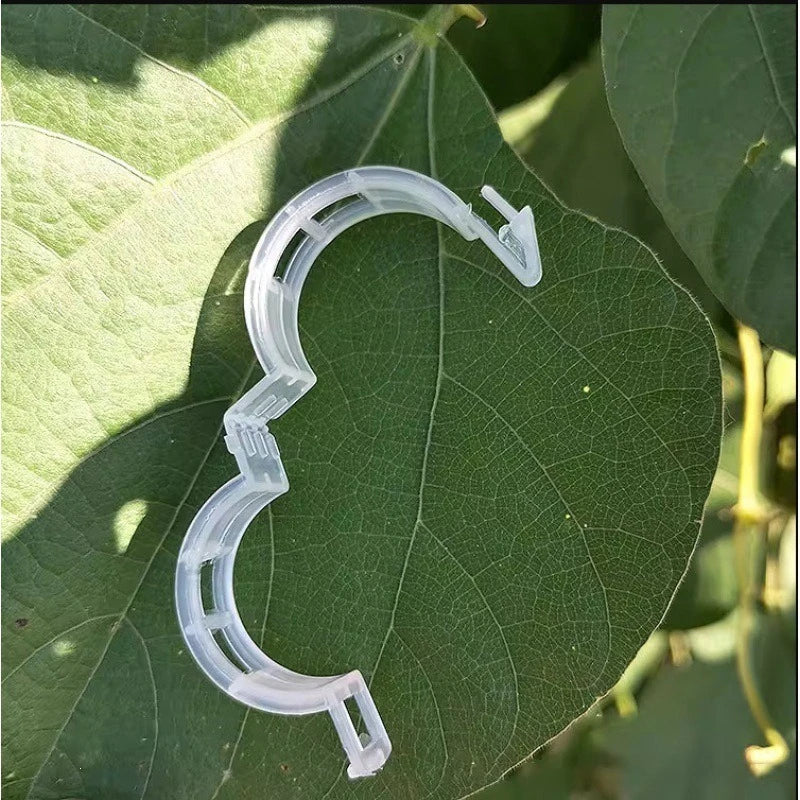 Plant Fixing Clips Vine Fastener Seedling Support Clamp Fruit Vegetable Vines Trellis Holder Gardening Seedling Hanging Clip Quake