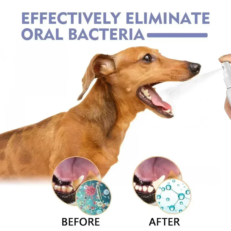 Pet Teeth Cleaning Spray Oral Care Remove Tooth Stains Keep Fresh Breath for Cats and Dogs Whitening Remove bad breath Quake