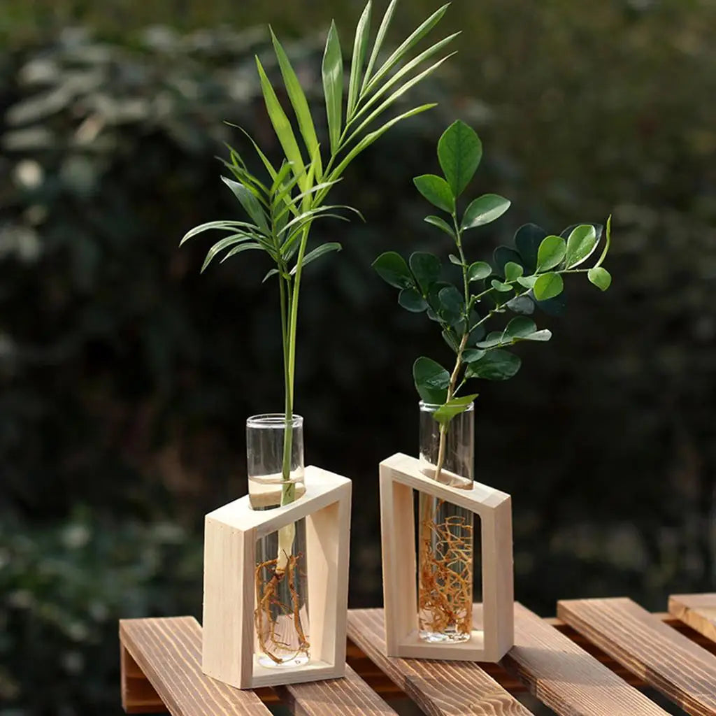 Plant Terrarium with Wooden Stand, Air Planter Bulb Glass Vase, Metal Swivel Quake