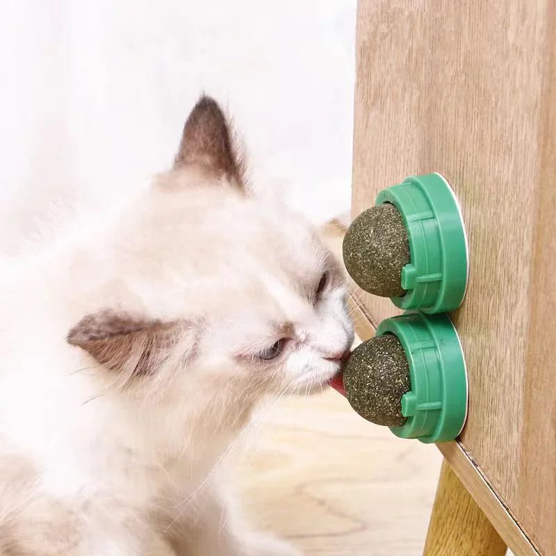 Catnip Cat Wall Stick-on Ball Toy Scratchers Treats Healthy Natural Removes Balls to Promote Digestion Cat Grass Snack Quake
