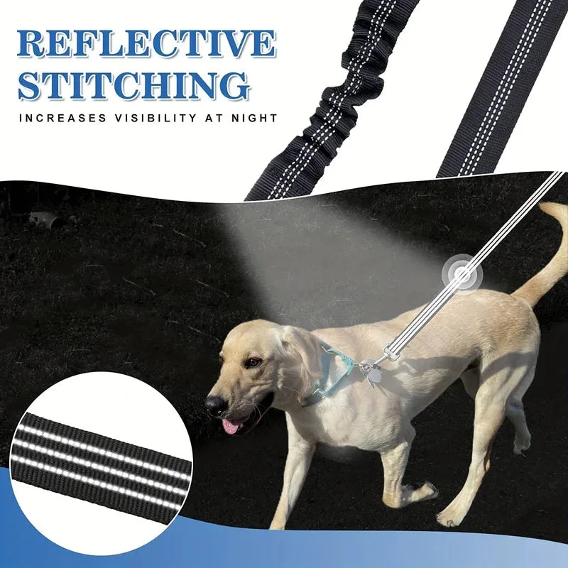 Pet Dog Double Leashes - No Tangle Dog Leash Coupler, Comfortable Shock Absorbing Reflective Bungee Lead for Nighttime Safety Quake
