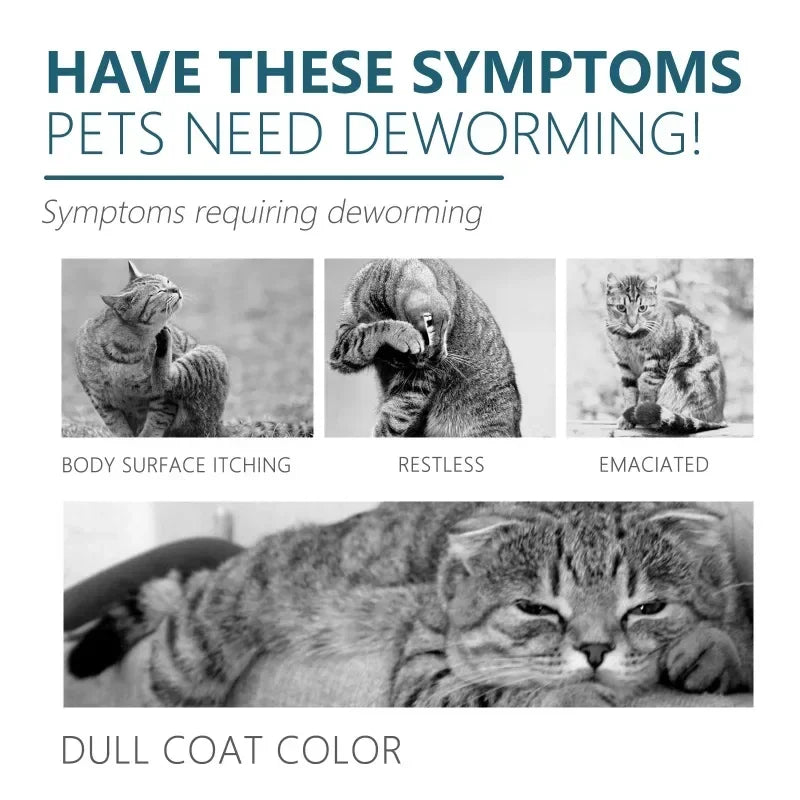 50ml Pet Anti Flea Tick Agent for Cats, Dogs, and Dogs. Extracorporeal Deworming Skin Cleaning Agent for Lice, Ticks, and Ticks Quake