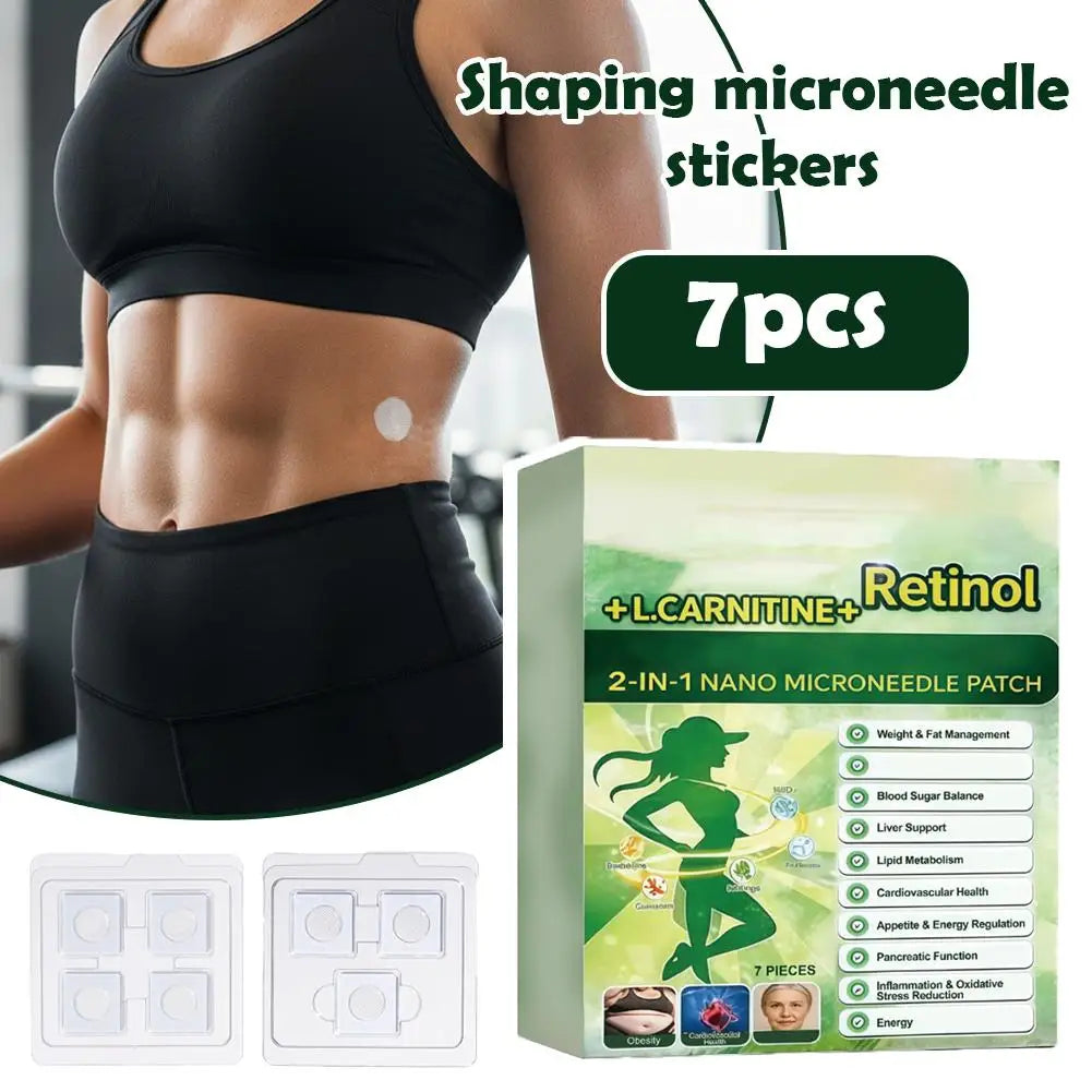 2-in-1 Nano Microneedle Patch Natural Gentle Patches Moisturizing Firming Skin for Women Men Nano Microdarts Patches 0.2mm Quake