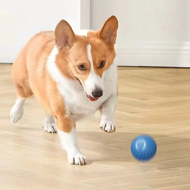 1pcs Dog Toys Intelligent Gravity Jump Ball Rechargeable Bite-Resistant Rolling Ball Cat And Dog Chase Interactive Pet Toys Quake